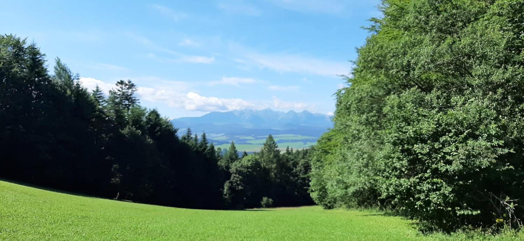 Szczytowisko Villa Grywald ภายนอก รูปภาพ