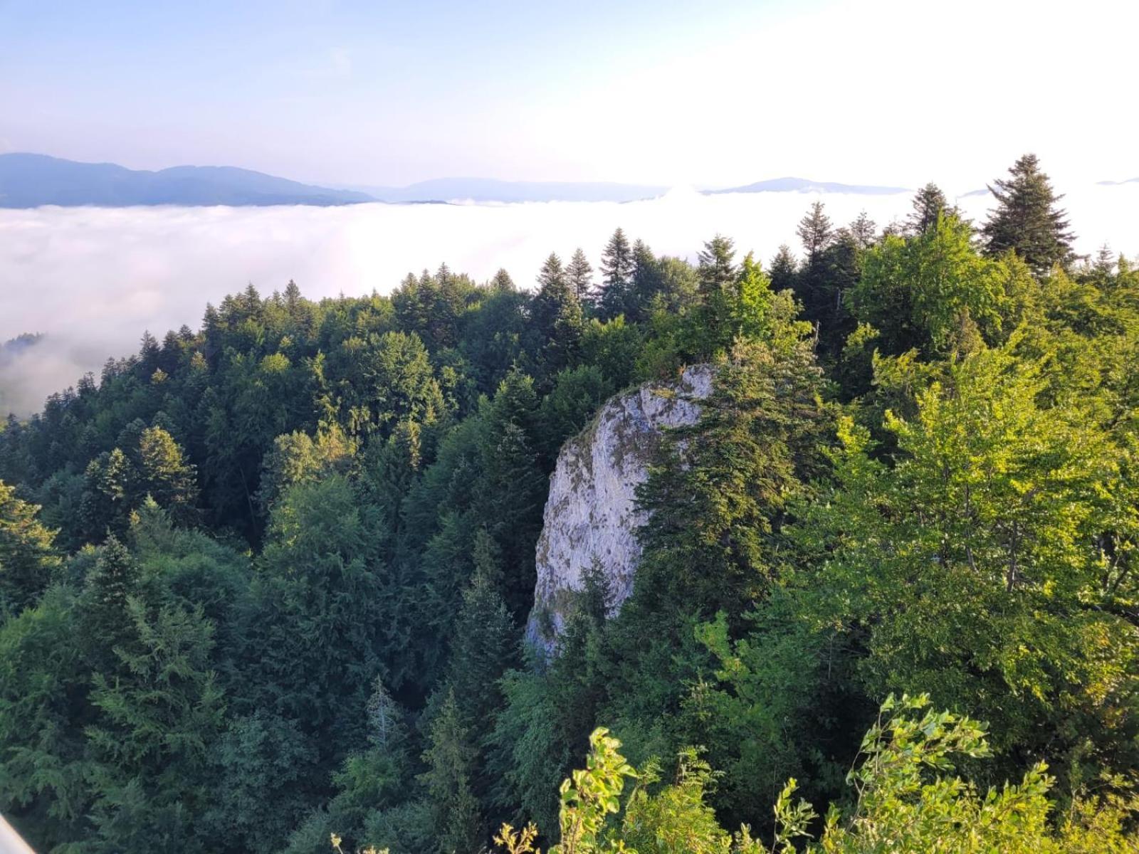 Szczytowisko Villa Grywald ภายนอก รูปภาพ